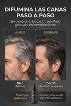 Champú anticanas The Man